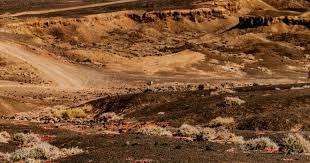 [德甲]进球大战！波鸿战平莱比锡